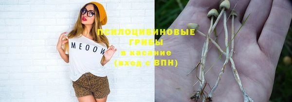 гидра Сатка