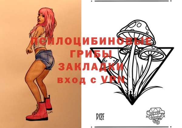 кокс Белокуриха
