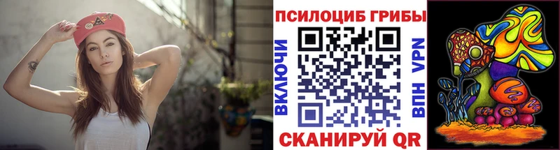 Галлюциногенные грибы мухоморы  купить наркотики цена  Бодайбо 